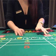 Dealer profesional memimpin sesi Sakong langsung di studio casino apizeus777